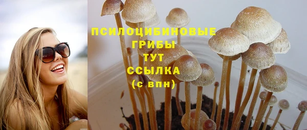 ECSTASY Осташков